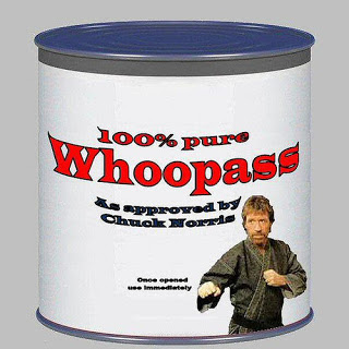 SEO as approved by Chuck Norris